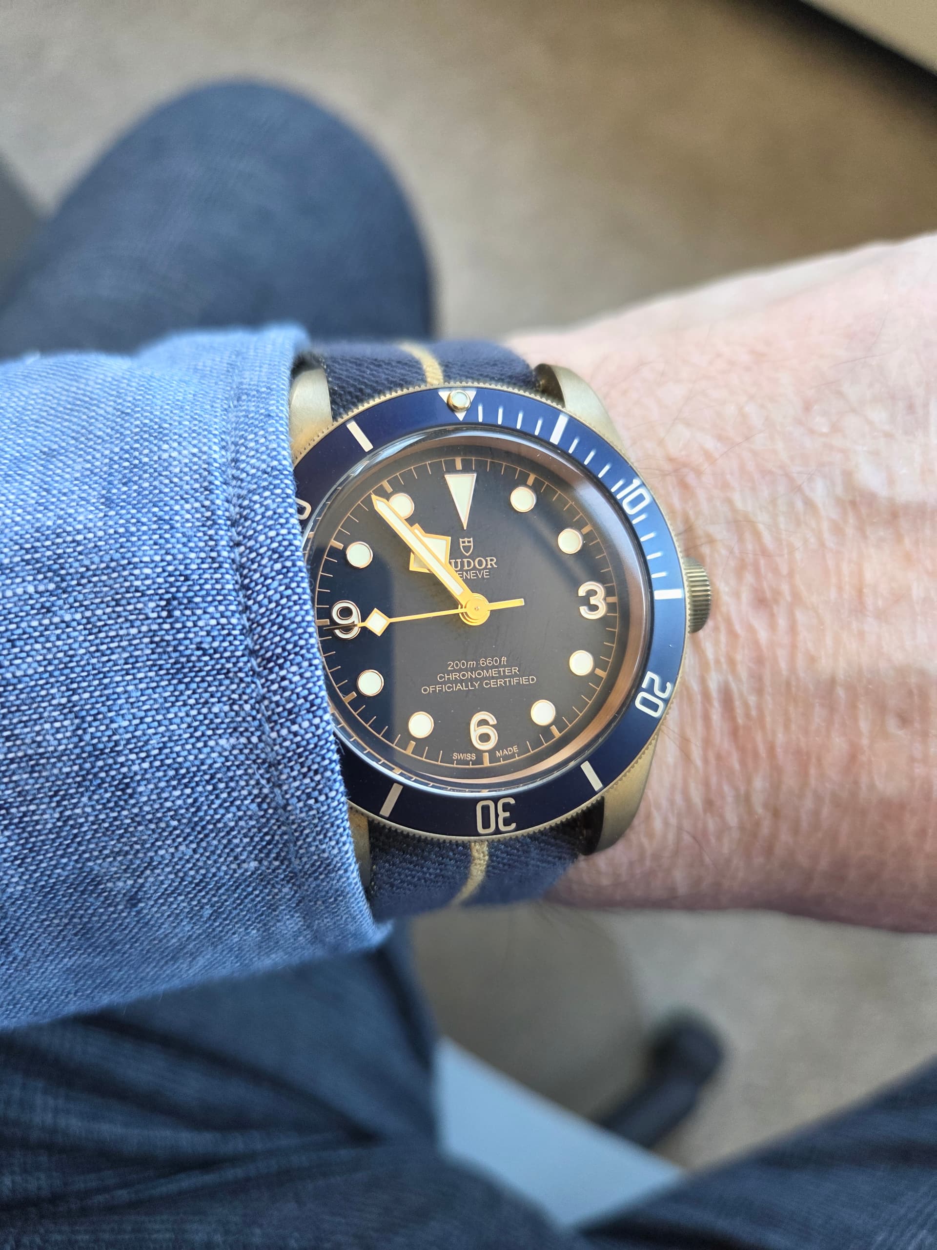 17738275828233139908549135496584