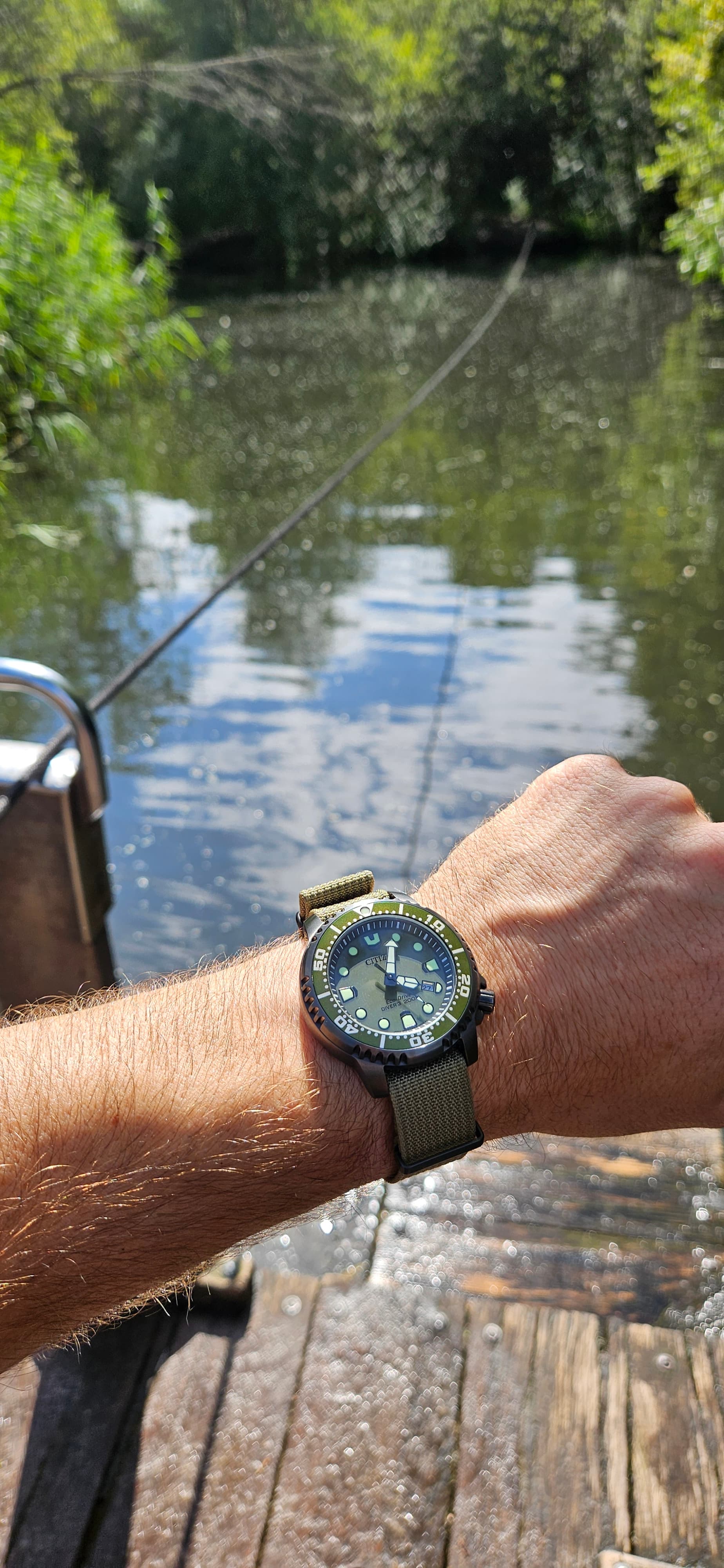 Citizen wristshot 29