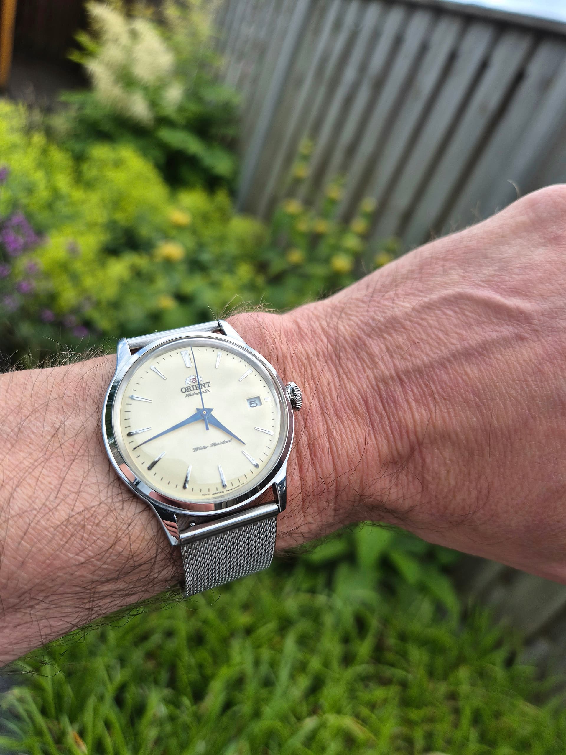 Orient wristshot 14