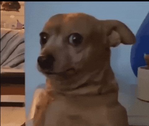 17839739918707642762415842803173
