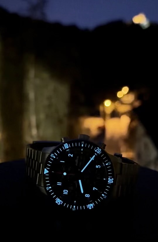 Fortis wristshot 33