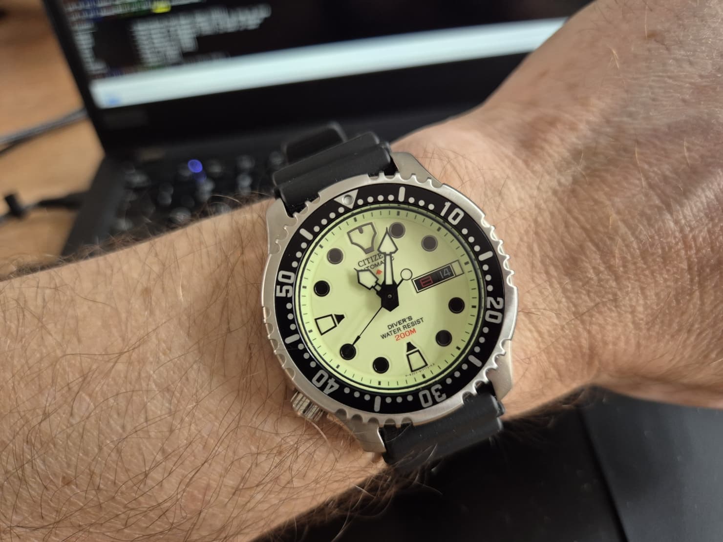 Citizen wristshot 11
