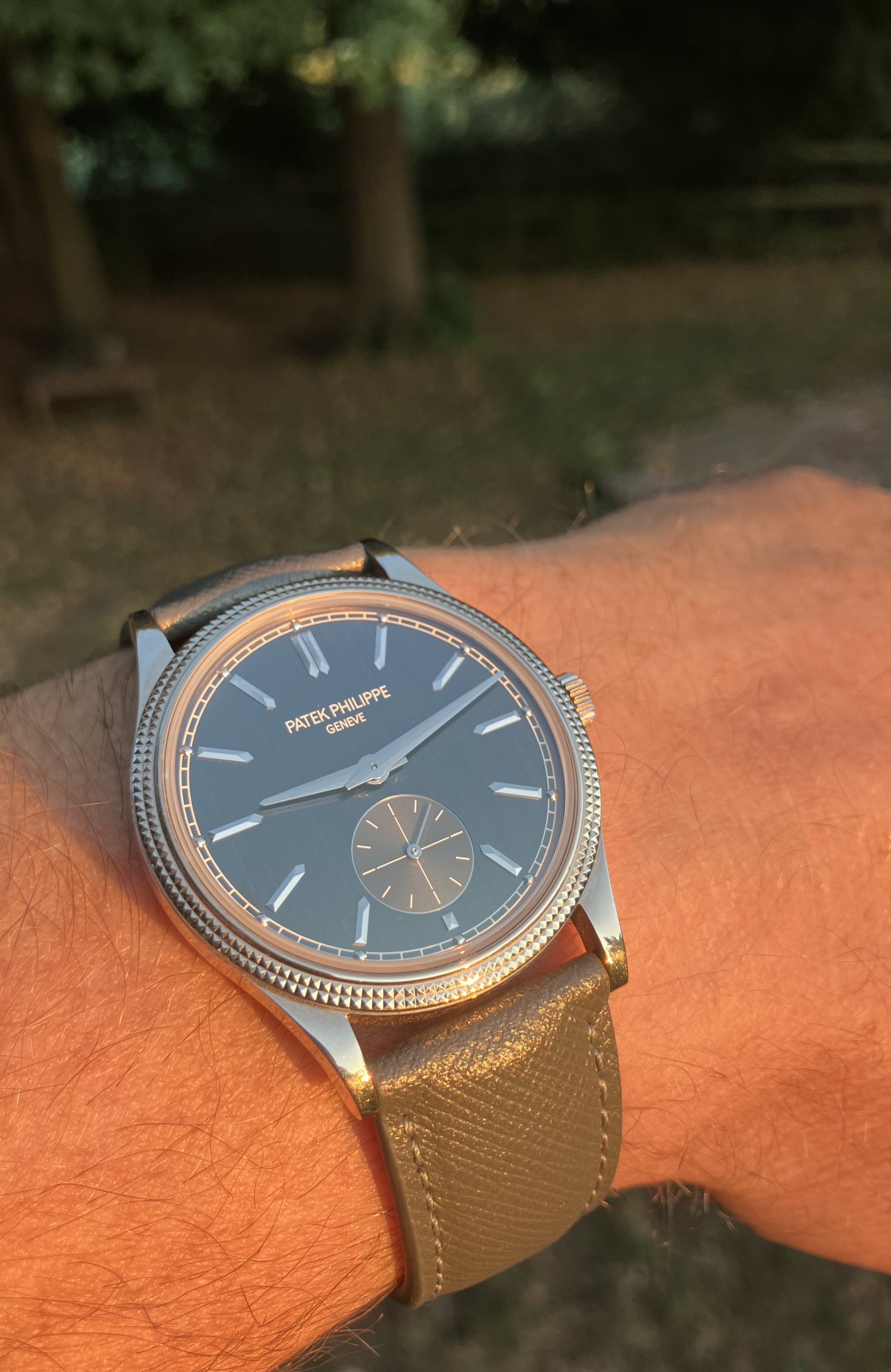 Patek Philippe wristshot 7