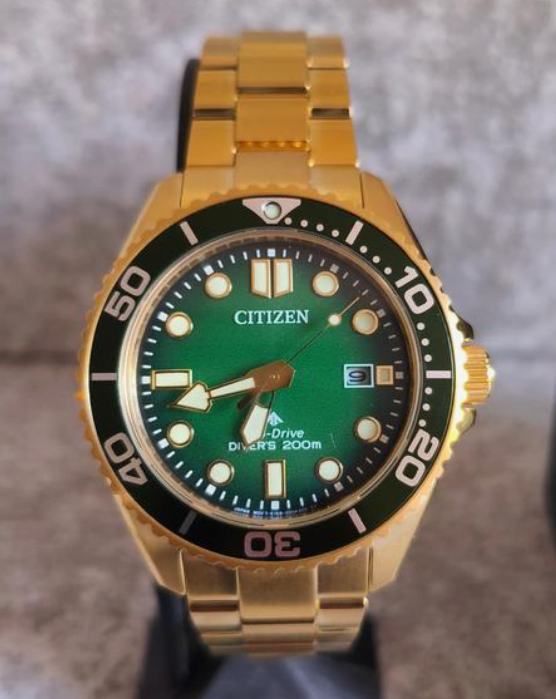 Citizen wristshot 24