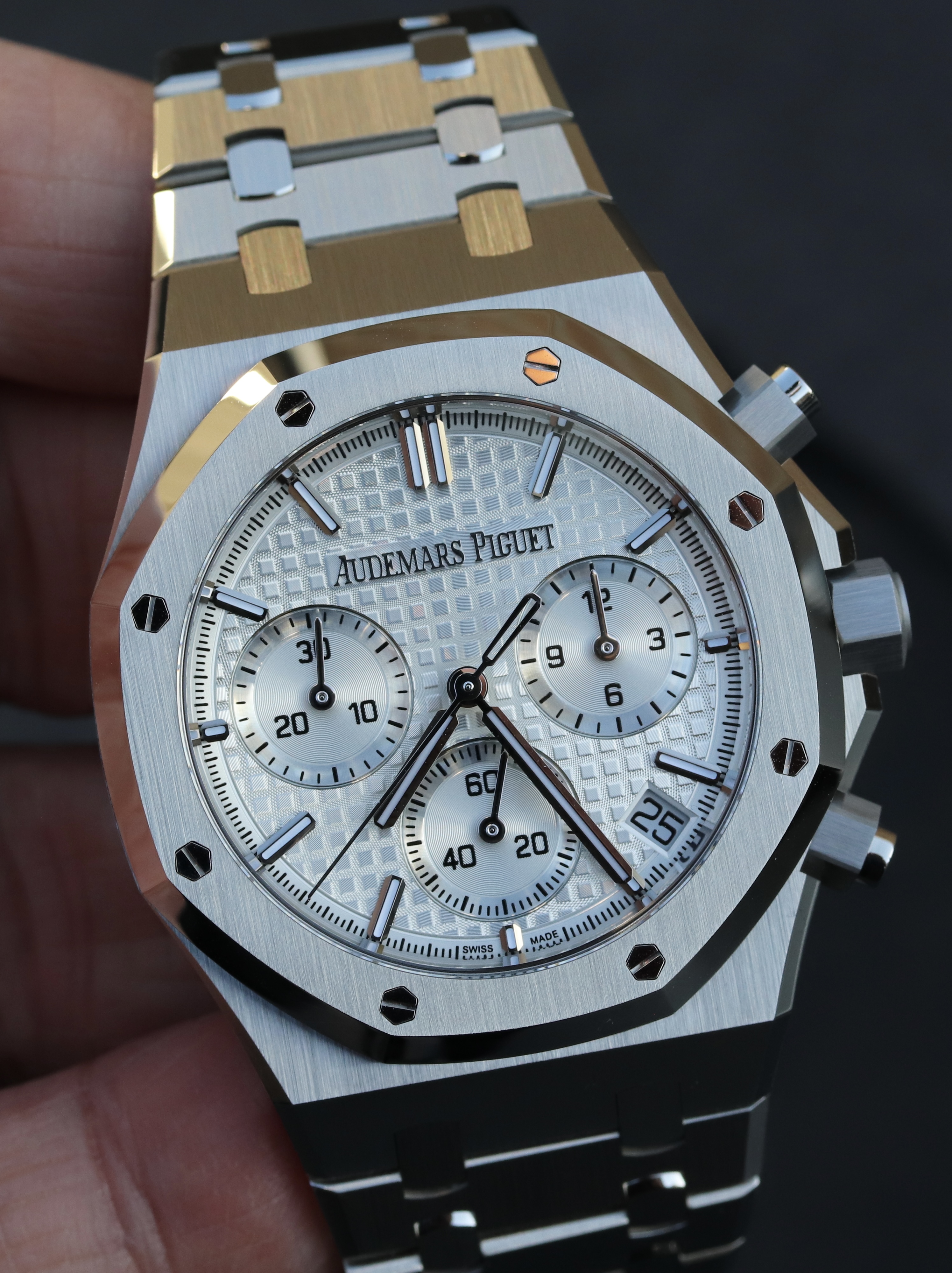 Audemars Piguet wristshot 17