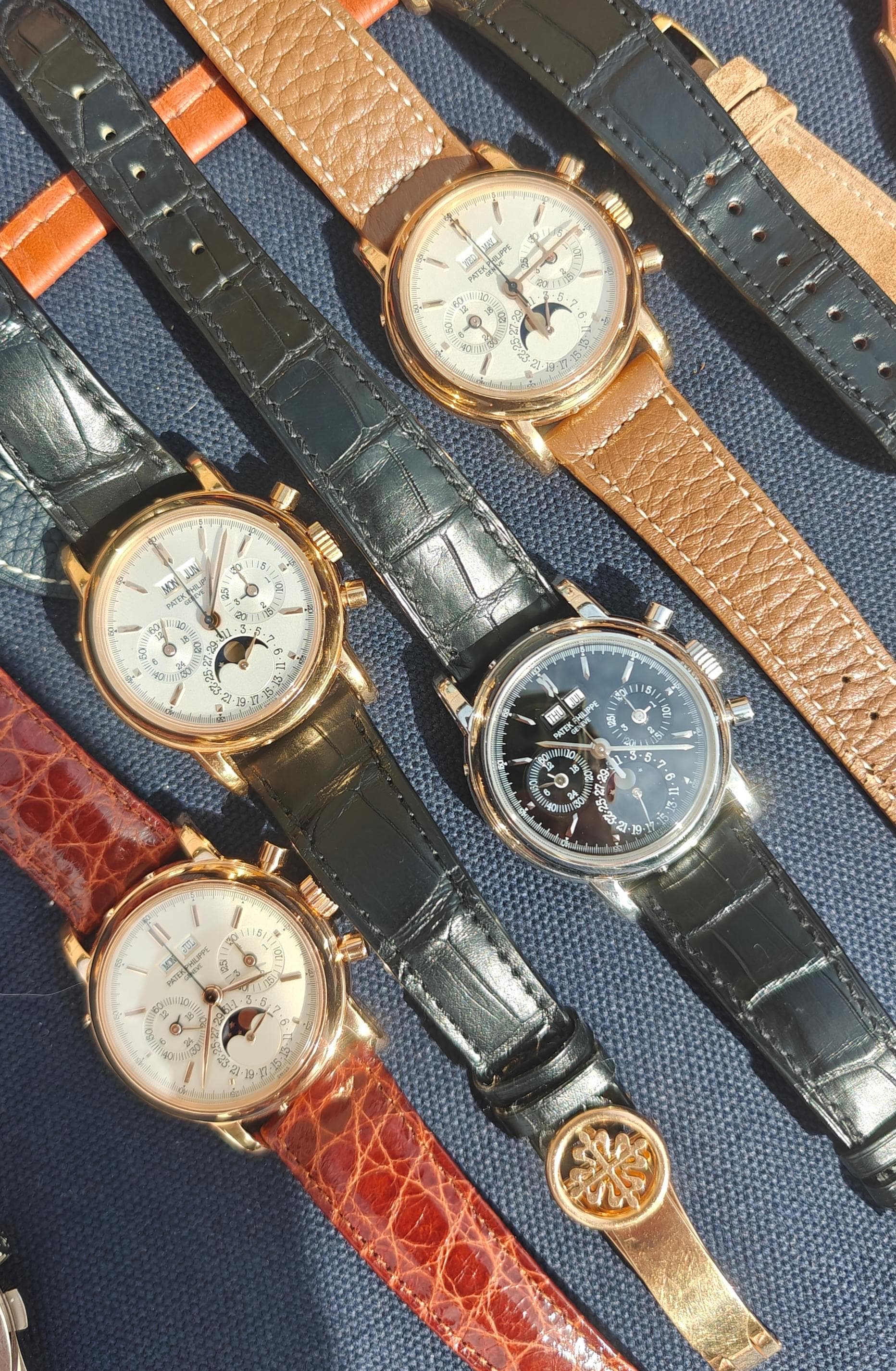 Patek Philippe wristshot 19