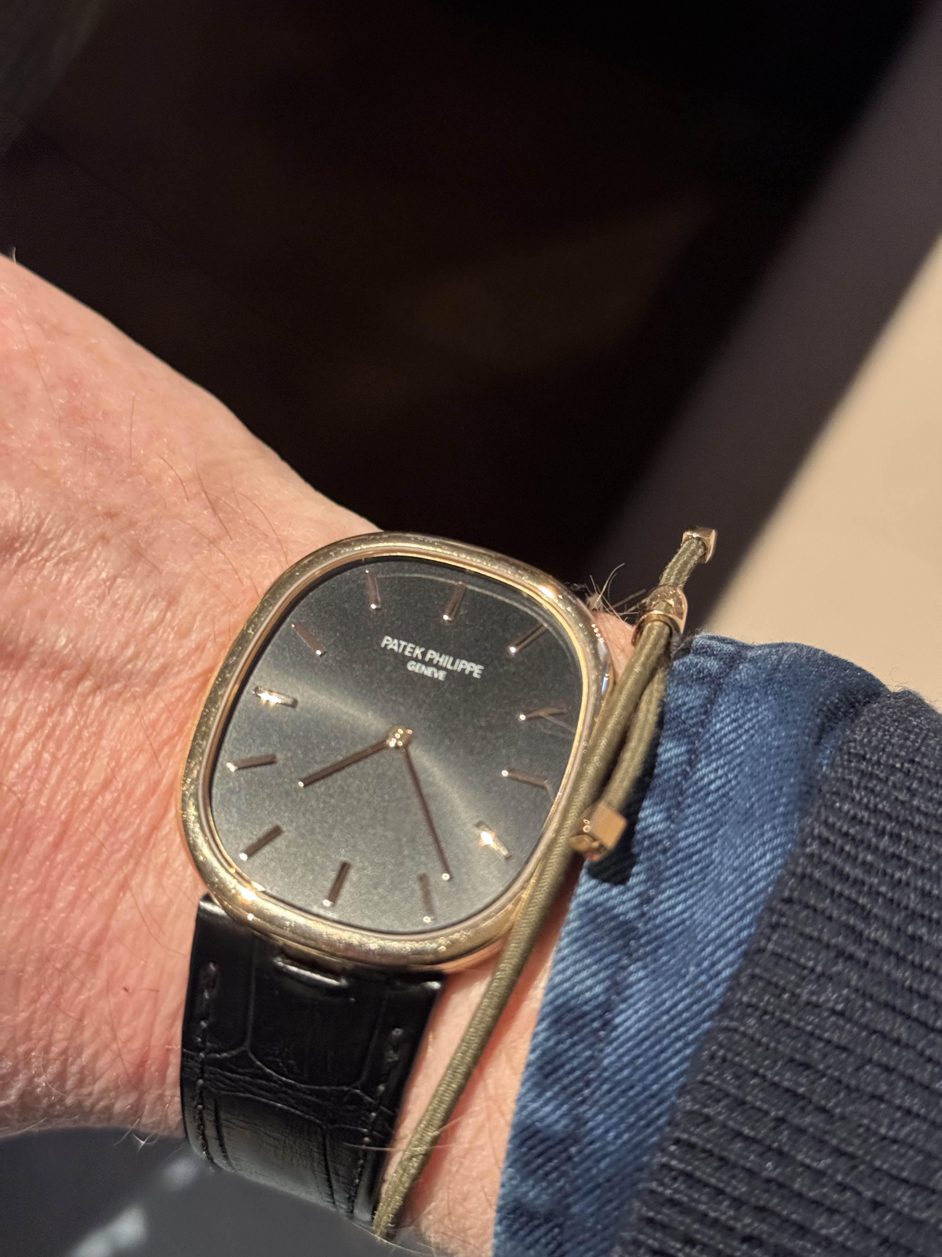 Patek Philippe wristshot 4