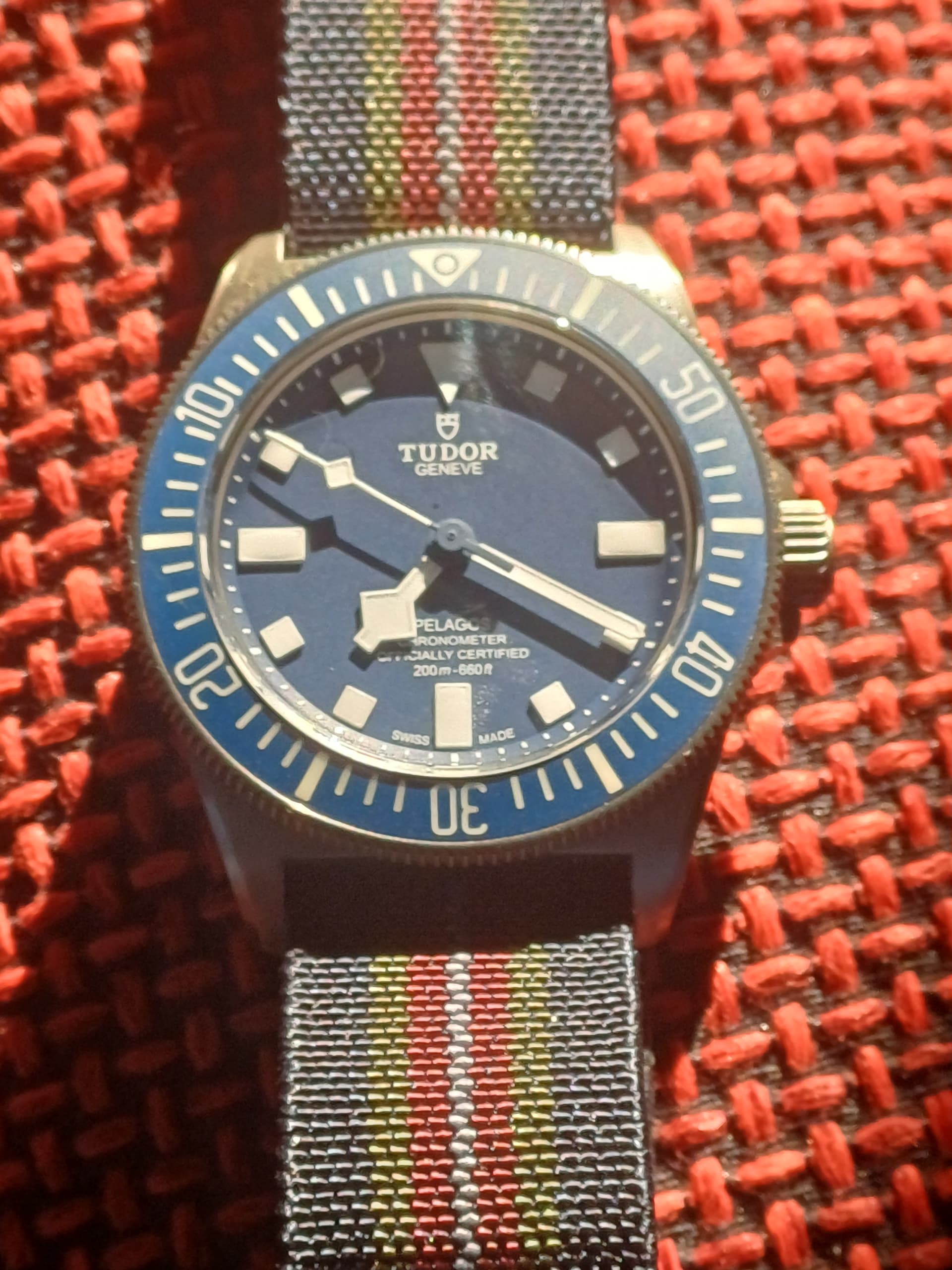 Tudor wristshot 7