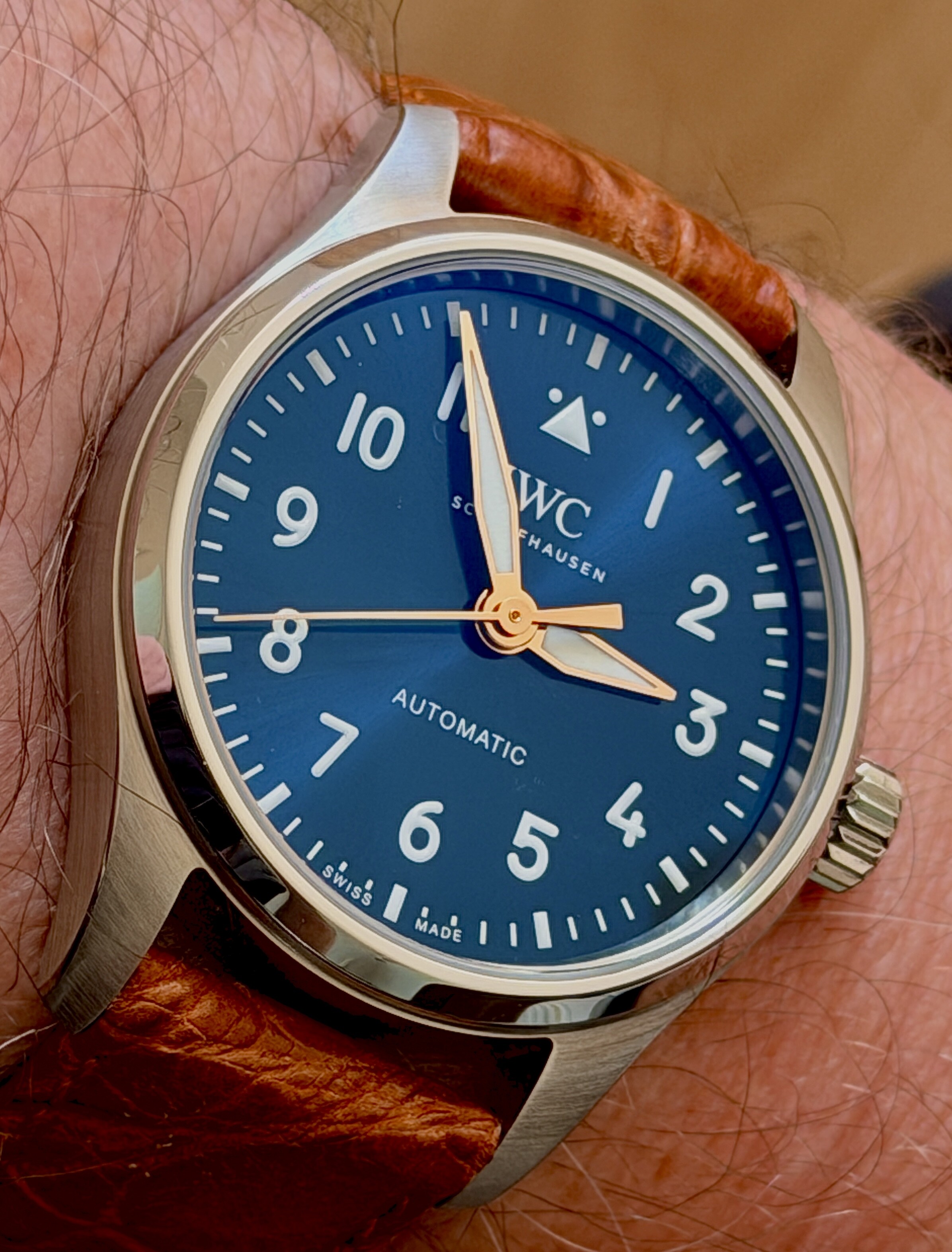 IWC wristshot 10
