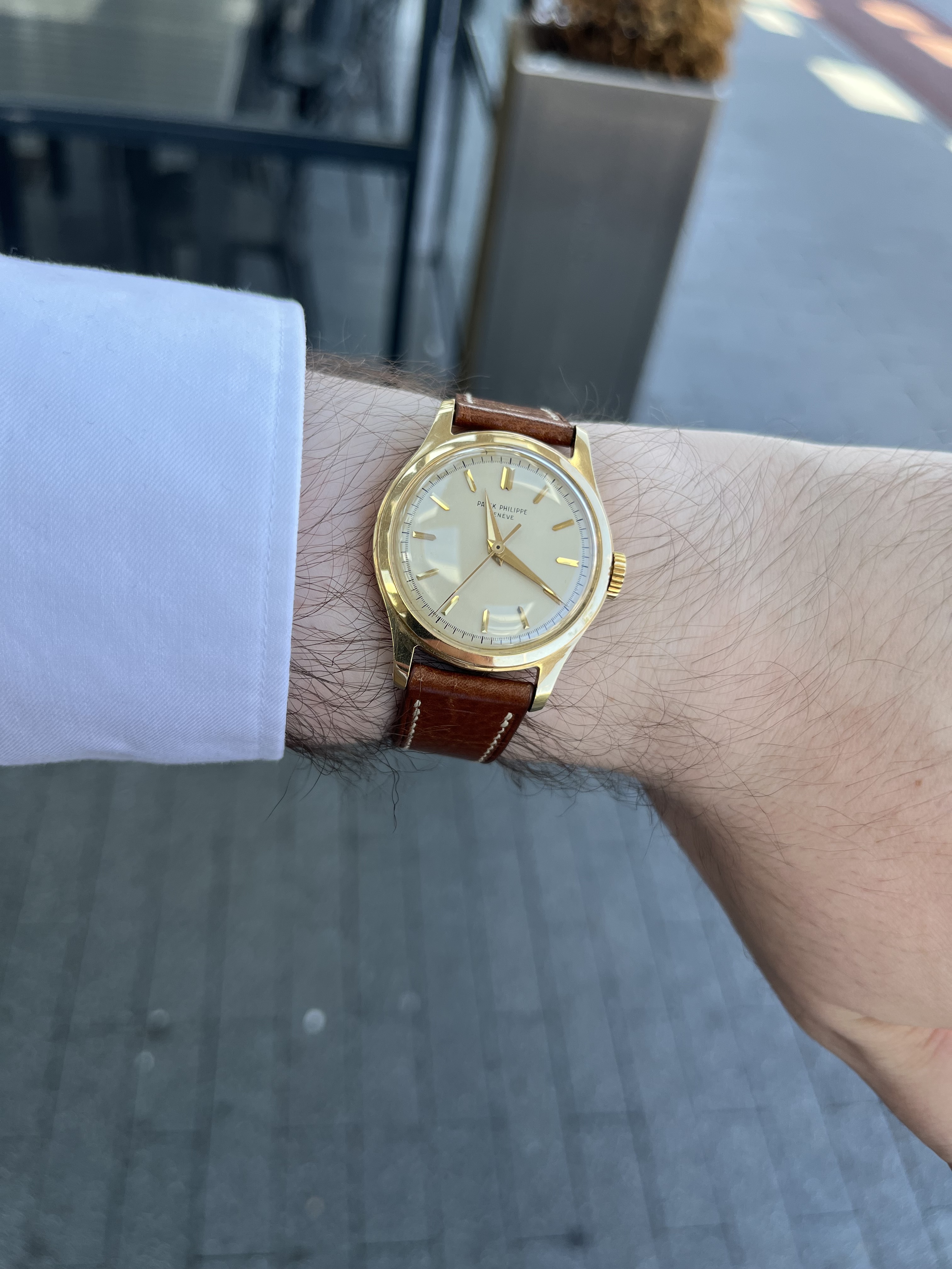 Patek Philippe wristshot 22